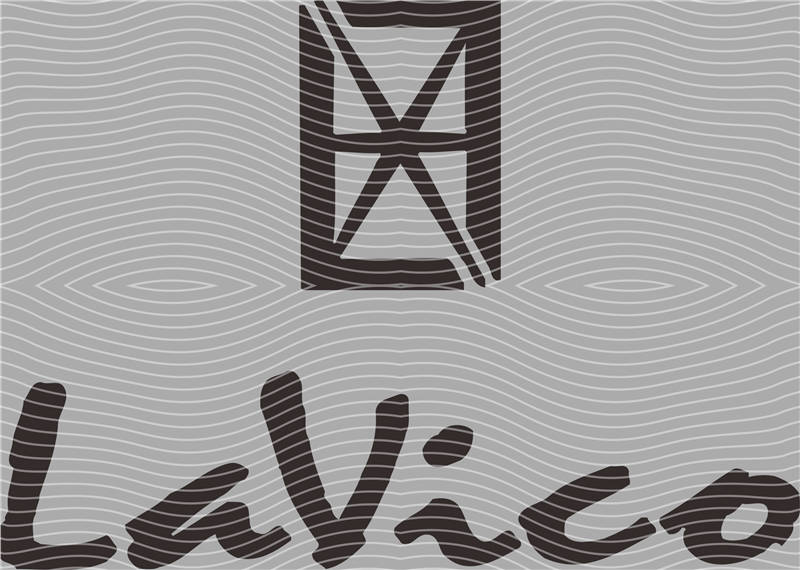 Fashion brand-EX 301